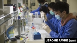 Lab technicians work at a BGI Group facility in Hong Kong.