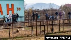 Парк львов «Тайган» в Крыму, архивное фото 