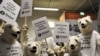 Activists in polar bear costumes as they prepare for a "Save Humans Too" demonstration in Copenhagen.