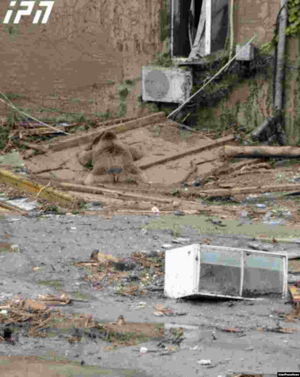 The city's zoo was flooded, allowing tigers, lions, wolves, and other animals to escape. Other animals died in the high water. Three zoo workers were killed in the flooding.