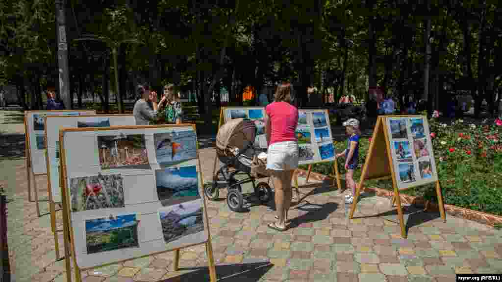 На стендах&nbsp;&ndash; десятки фото. На всех изображен Симферополь