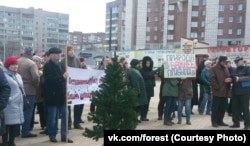 Акция в Череповце в защиту Пуловского леса. Ноябрь 2018 года