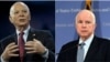 Senators Ben Cardin (left) and John McCain (composite photo)